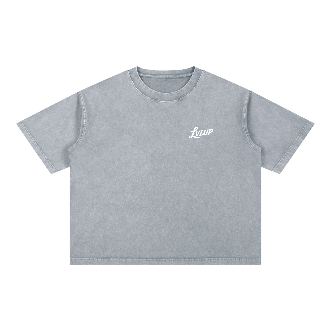 LVLUP Boxy T-Shirt